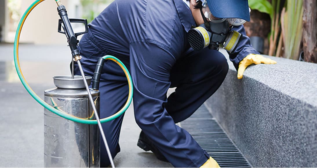 dedetizadora 24 horas no Itaim Bibi