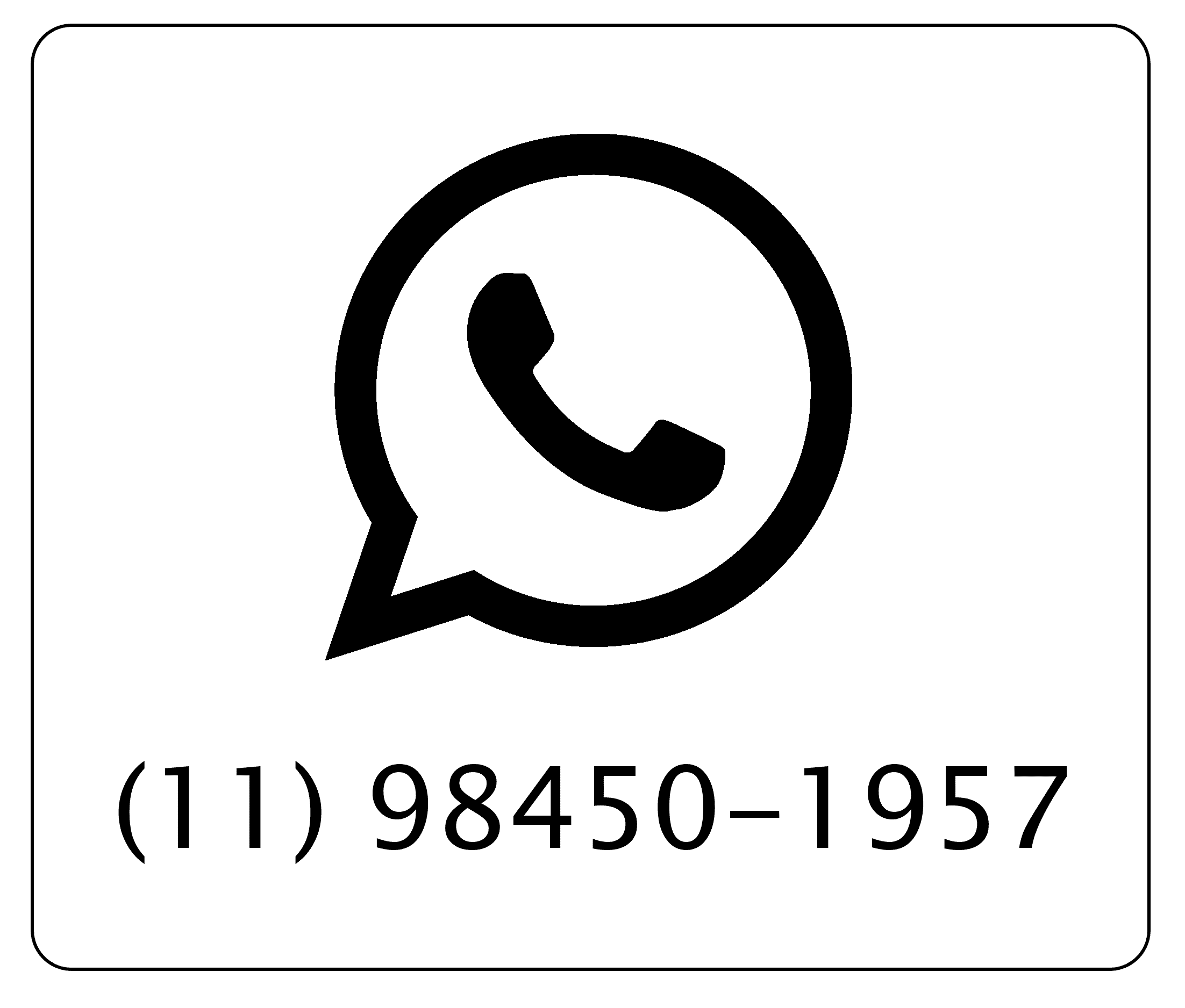 Dedetização de pulgas